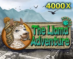 Llama Adventure - SUMMER138