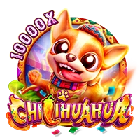 Facai : CHILIHUAHUA - SUMMER138